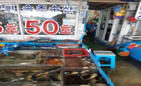 속초 동명항 맛집, 신선한 활어 회 전문점 ‘속초수산(50호)’