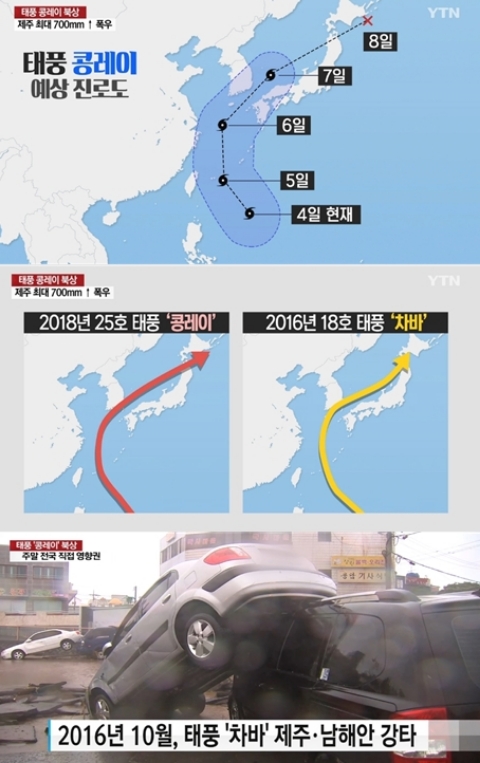 ⓒ YTN 뉴스 화면