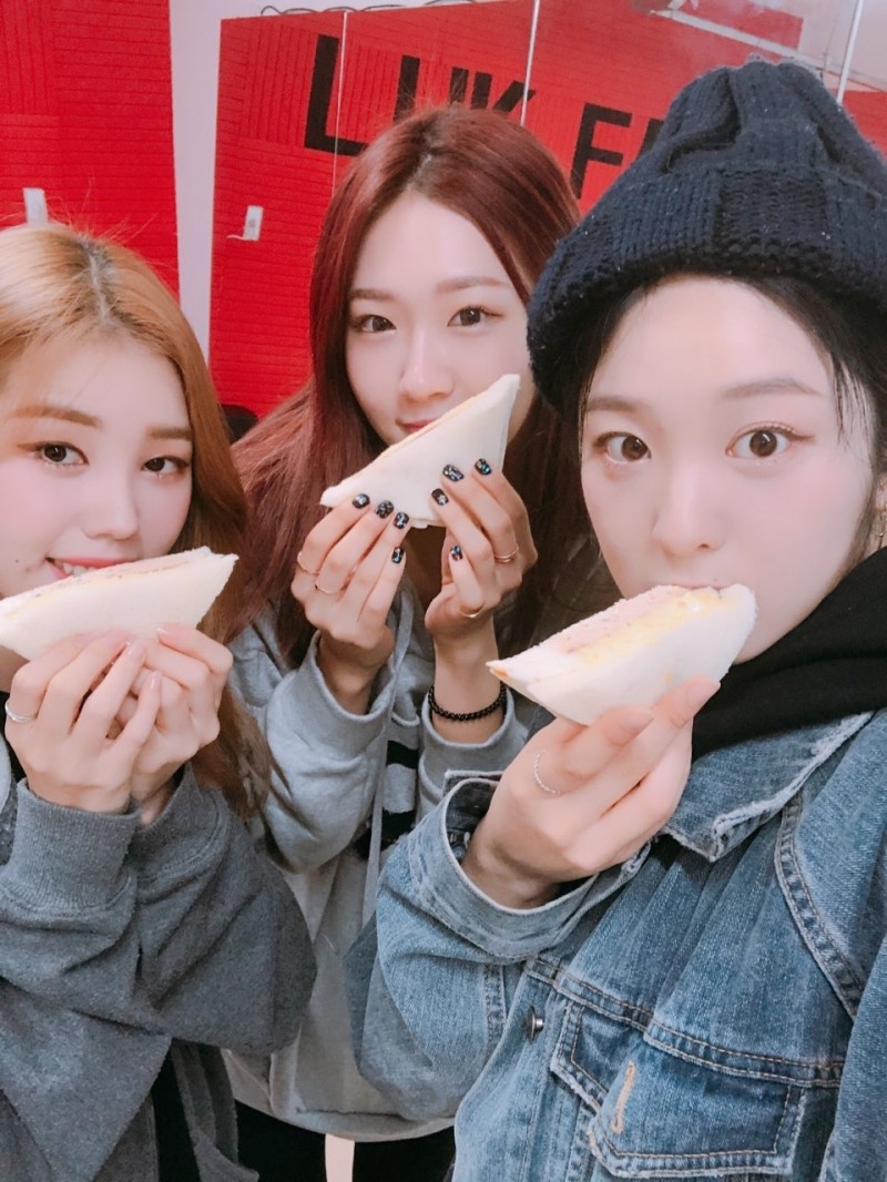 퍼플, 귀여운 비글 매력 발산!…트로트 도전부터 ‘인기가요’ 샌드위치 먹방