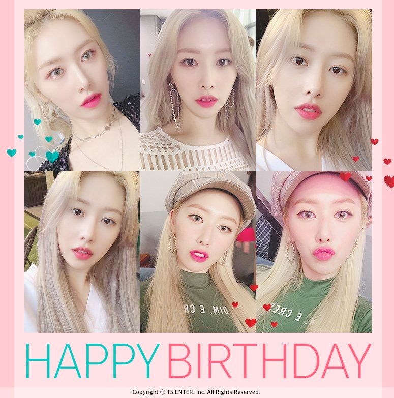 걸그룹 소나무의 의진