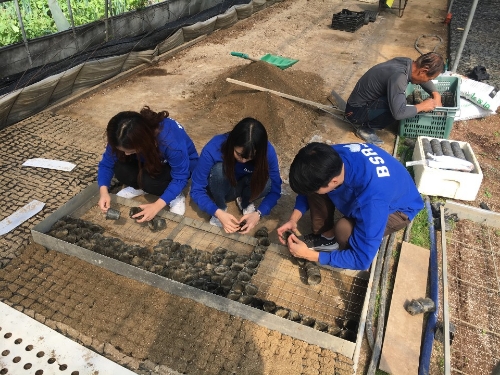 bhc치킨 ‘해바라기 봉사단’, 서울 인근 농가서 일손 돕기 나서