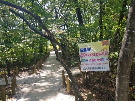 함양군, 상림 다람쥐 배가 고파요 도토리를 돌려 주세요