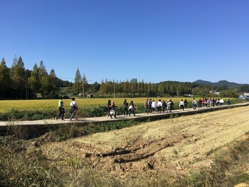 광주시 돈보스코학교, '2018년 국토순례' 실시