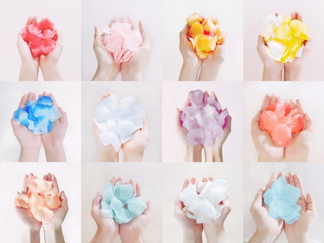 걸그룹 아이즈원의 의문의 장미꽃잎 이미지