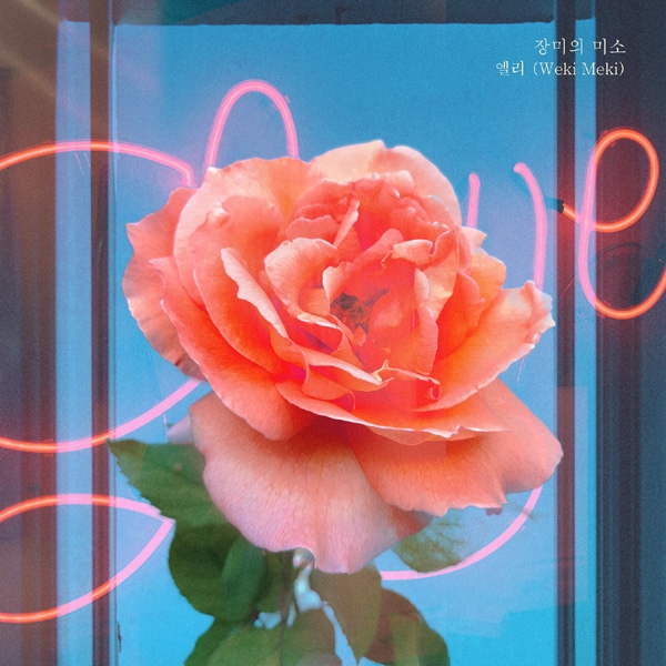 '하나뿐인 내편' OST의 '장미의 미소' 커버 이미지