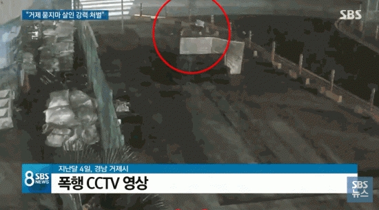 사진=SBS 방송화면 캡처