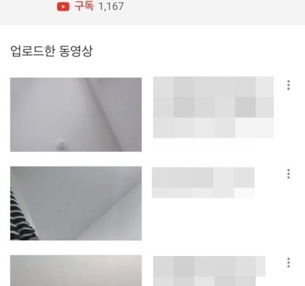 사진=유튜버 캡처