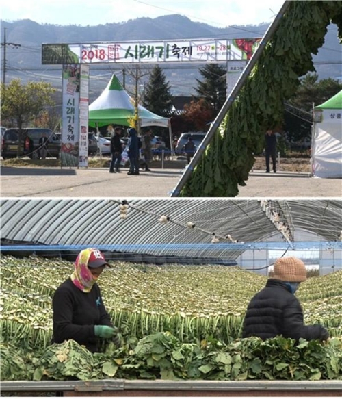 ⓒ KBS '다큐 3일' 방송 화면