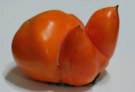 사진=온라인 커뮤니티 캡처