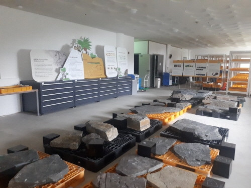 고성 공룡박물관, '공룡 멸종-새의 탄생' 기획전시