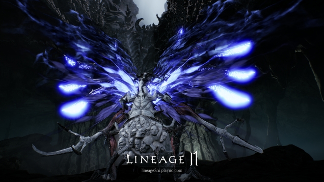 여왕 개미의 모습.