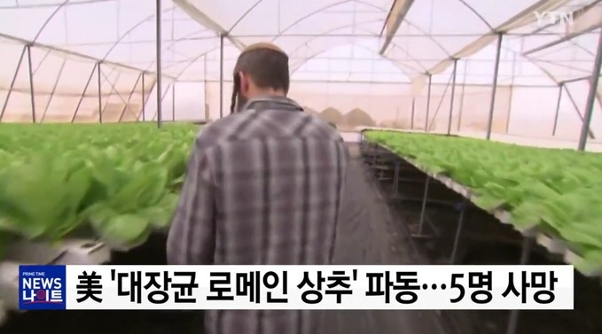 사진=YTN뉴스 방송화면