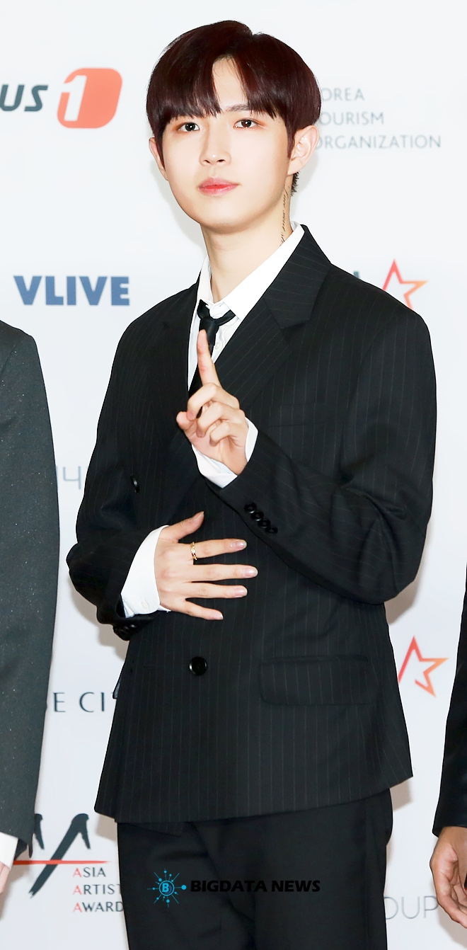워너원 김재환, '2018 Asia Artist Awards' 레드카펫 현장