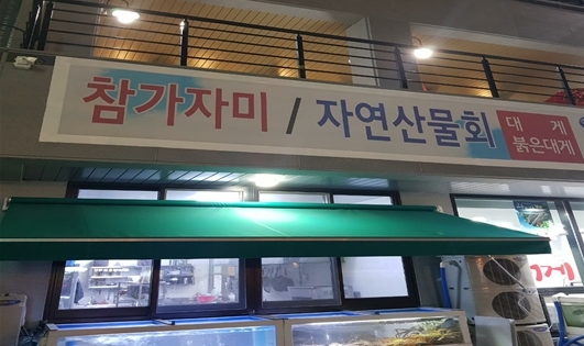 포항 맛집 자연산 제철 회와 꼬막요리가 일품, ‘올레횟집’