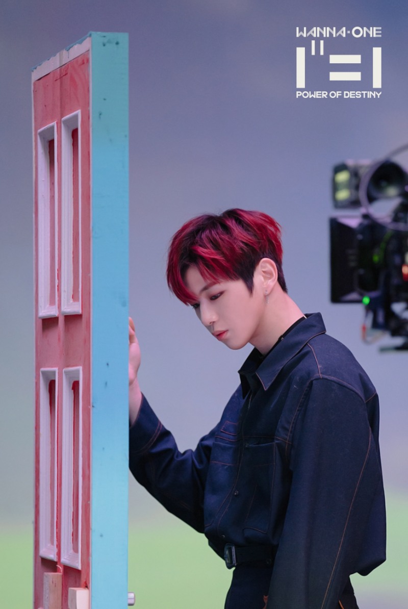 '강다니엘' '쯔위' '엑소' '러블리즈' 11월 기부요정 선정