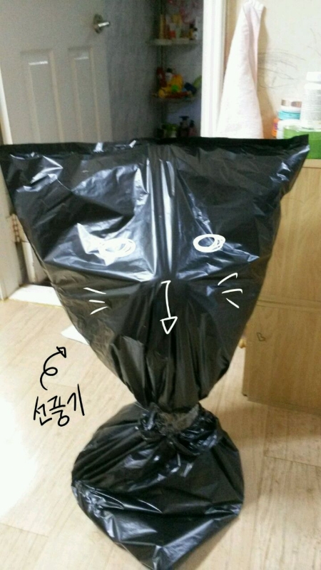 '봉지냥'을 닉네임으로 선택하게 된 계기.