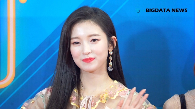 [BIG영상][4K] 오마이걸(OH MY GIRL) 아린 포커스 '2018 KBS 가요대축제' 레드카펫 현장
