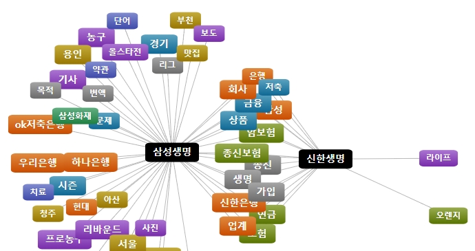 삼성생명과 신한생명의 키워드 연관맵/사진=데이터앤리서치소셜메트릭스제공