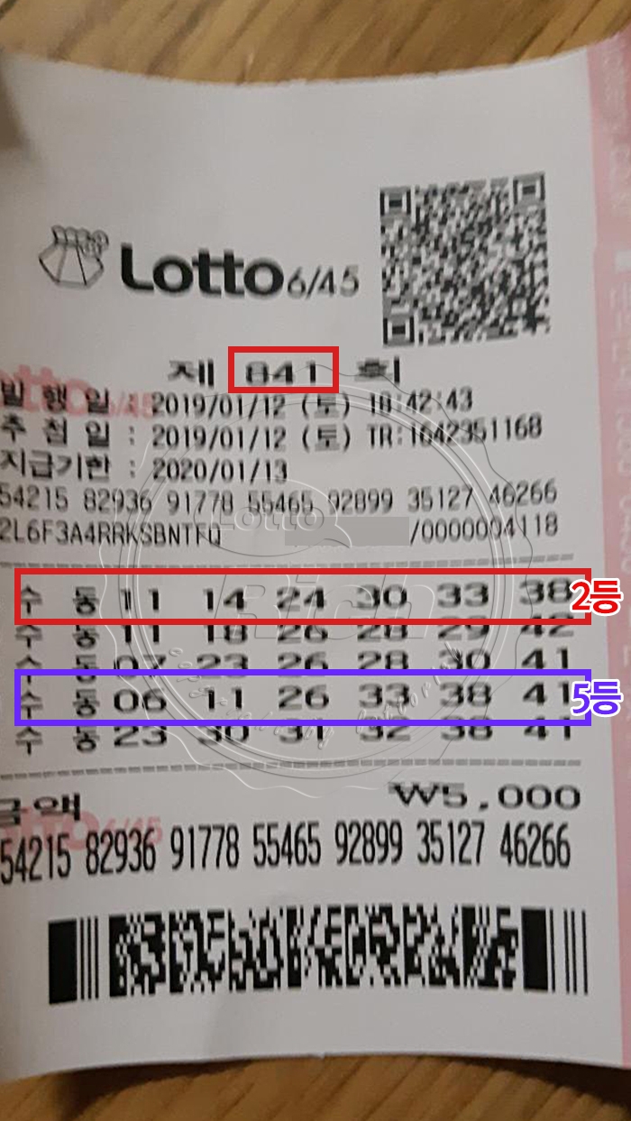 로또 당첨자 와르르…수동 당첨자 다수 출현 이유는?