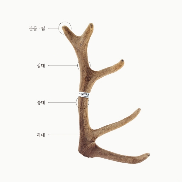 설날선물세트 '녹용'… 원산지와 성분 확인은 필수
