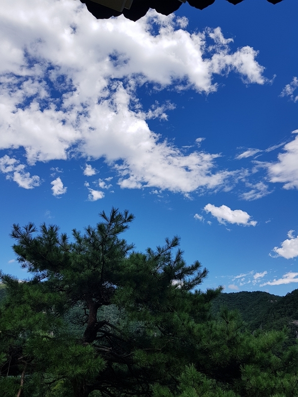 사진= 주말 미세먼지 (기사와 연관없음)