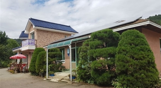 평창 맛집에서 맛보는 겨울 별미 ‘물안골송어회’