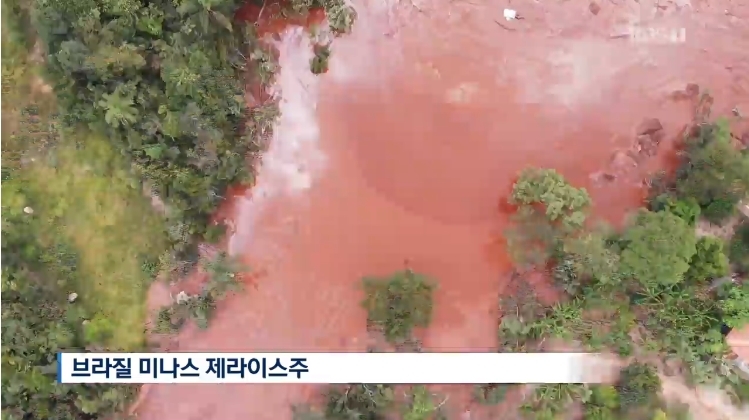 사진= 케이비에스 뉴스화면