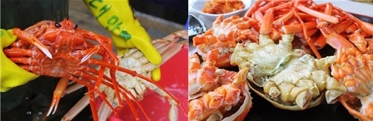 삼척 맛집 제철 대게 부담 없이 맛보는 ‘참한대게&회’