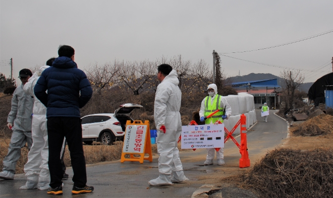 1월 31일 구제역이 발생한 충북 충주시 주덕읍 당우리의 한 축산농가 앞에서 방역당국 관계자들이 대책을 숙의하고 있다. 사진=뉴시스