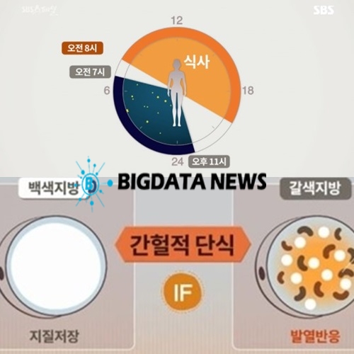 간헐적 단식 방법 / 출처 : 에스비에스