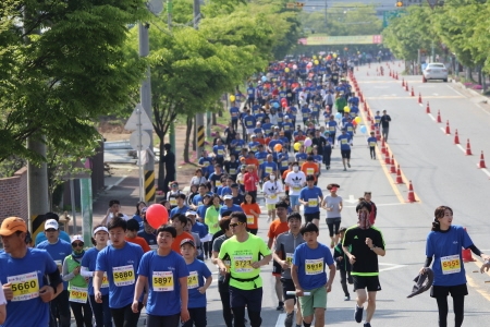 보성군, '보성녹차마라톤대회' 개최