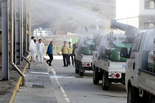 합천군, '구제역·AI 합동 방역' 가축 시장 일원 실시