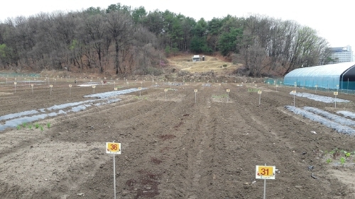 의정부시, '도시 텃밭 분양사업' 신청자 모집