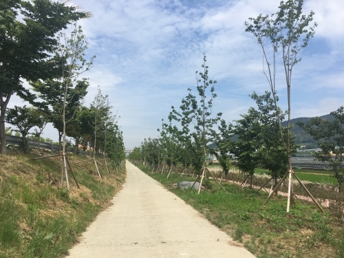 김해시, 미세먼지 차단 위한 도시숲 조성