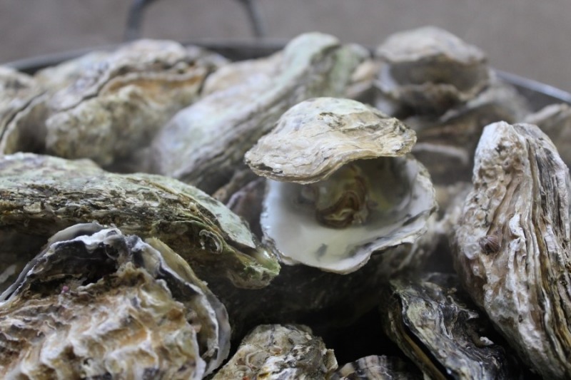 거제도 맛집 '포로수용소 굴구이', 6가지 음식을 한 번에