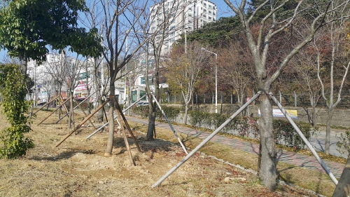 광양시, '나무은행 사업' 본격 추진