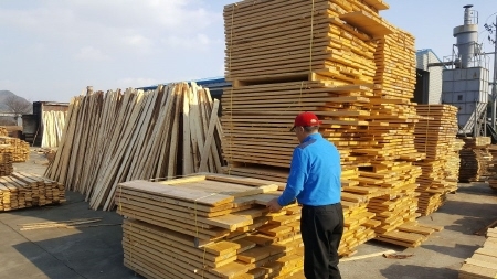 창원시, 소나무재선충병 확산 방지... '소나무류 이동 특별단속' 실시