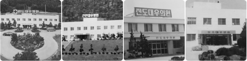 (사진=1979년 개원한 신안, 무주, 진도 병(의)원과 1980년에 개원한 완도대우병원 전경)