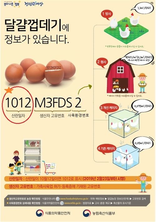 '달걀 산란일자 보고 구입하세요' 23일 표시제도 시행