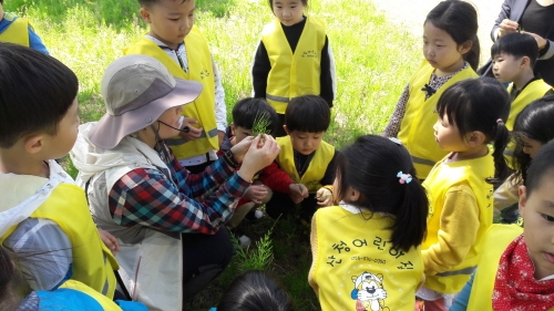 산청군, 숲 해설 프로그램 주민 대상 무료로 운영