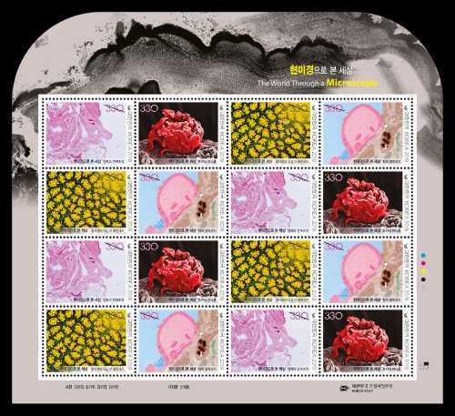 고대구로병원 병리과 김한겸 교수의 현미경 작품, 우정사업본부 기념우표로 제작
