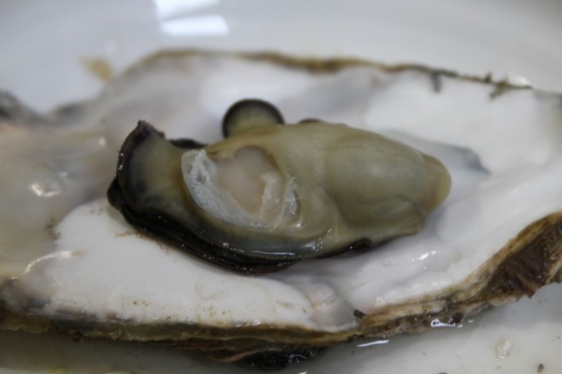 사진=거제도 맛집 ‘포로수용소 굴.구이집' 제공