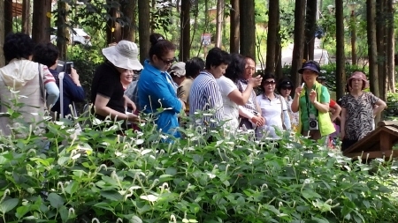 장흥군, 오는 21일까지 '문화관광해설사' 모집