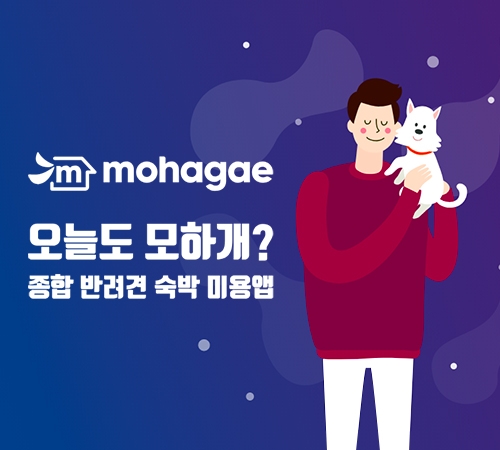 반려인에게 다양한 서비스 제공하는 모바일 플랫폼 ‘모하개’ 등장