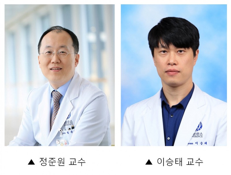 (왼쪽부터) 세브란스병원 혈액종양내과 정준원 교수, 진단검사의학과 이승태 교수/사진=세브란스병원 제공