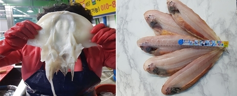 장항 맛집, 직접 잡은 모싯잎고등어와 반건조생선 제철수산물 ‘우선수산(진수호)’