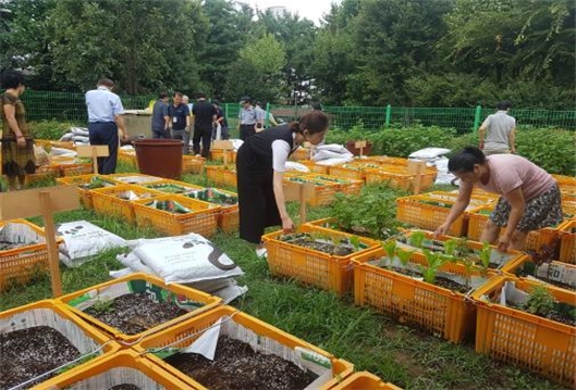서울시, 2022년까지 텃밭농사·양봉 등 도시농업공동체 100개 지원한다
