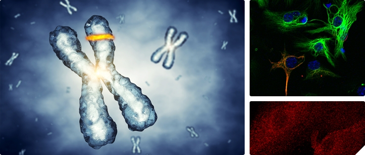 (사진=목암연구소는 유전자재조합 B형 간염백신과 세계 최초로 유행성출혈열백신을 개발했다.)