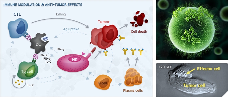 (사진=목암연구소는 세계 두번째로 수두백신을 개발했고, 단백질 치료제 등 생명공학 불모지였던 국내 바이오 의약품 역사에 이정표를 남겼다.)