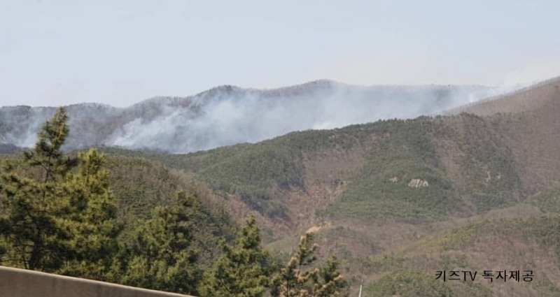 사진=독자 제공